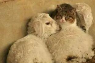 冬天雖冷,因為有你相擁而溫暖 冬天雖冷,因為有你相擁而溫暖