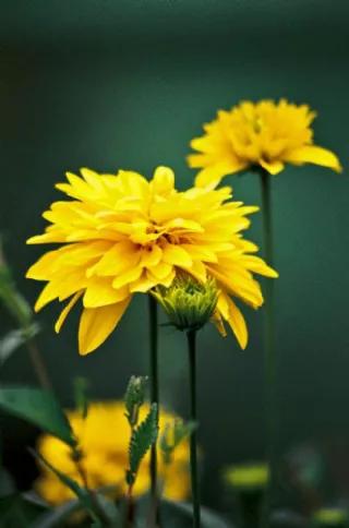 旅遊正文美麗的大自然，多彩的風景美麗的大自然，彩色的大自然快