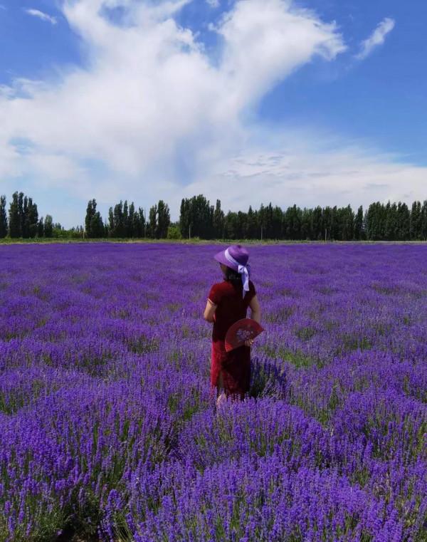 一車兩人自駕遊新疆35天總費用情況