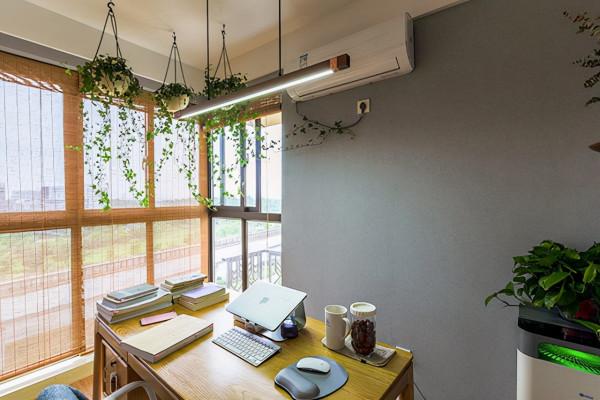 在讀女博士的新家,隨處可見的植物,超清新,女主人的想法真獨特 在讀女博士的新家,隨處可見的植物,超清新,女主人的想法真獨特