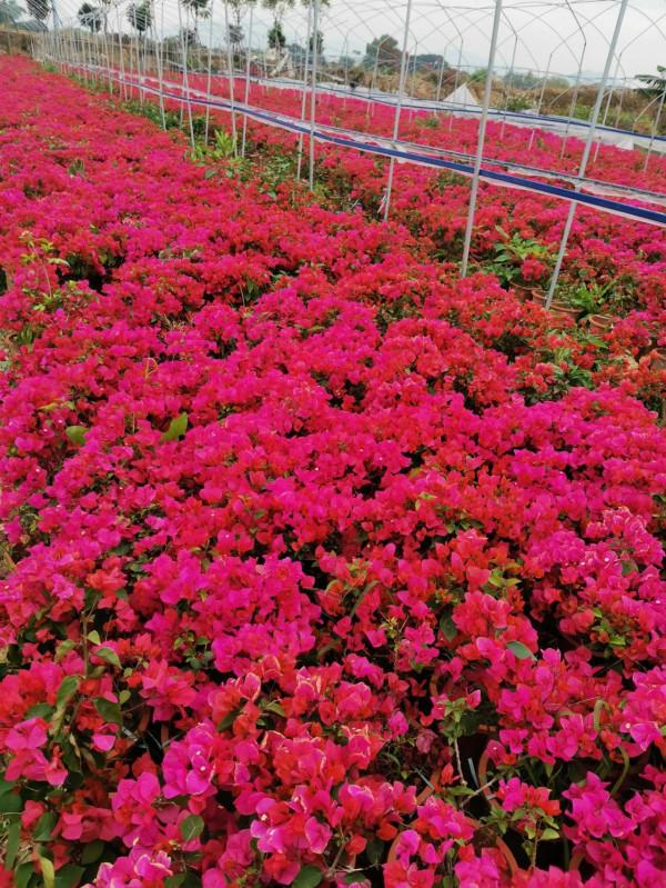 2021年10月12日 2021年10月12日