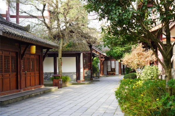 心旅禪行丨暖陽相伴，尋覓禪意中的“一抹紅”