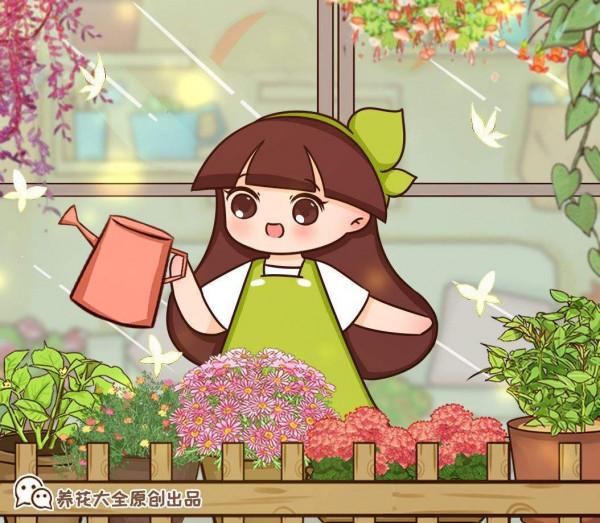 連綿雨季怕積水?這5種植物,雨越大越好養 連綿雨季怕積水?這5種植物,雨越大越好養