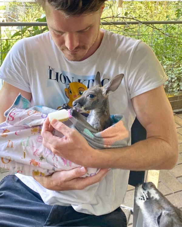 澳洲小哥靠一組照片成為“年度網紅”:絕了,每隻動物都會笑? 澳洲小哥靠一組照片成為“年度網紅”:絕了,每隻動物都會笑?