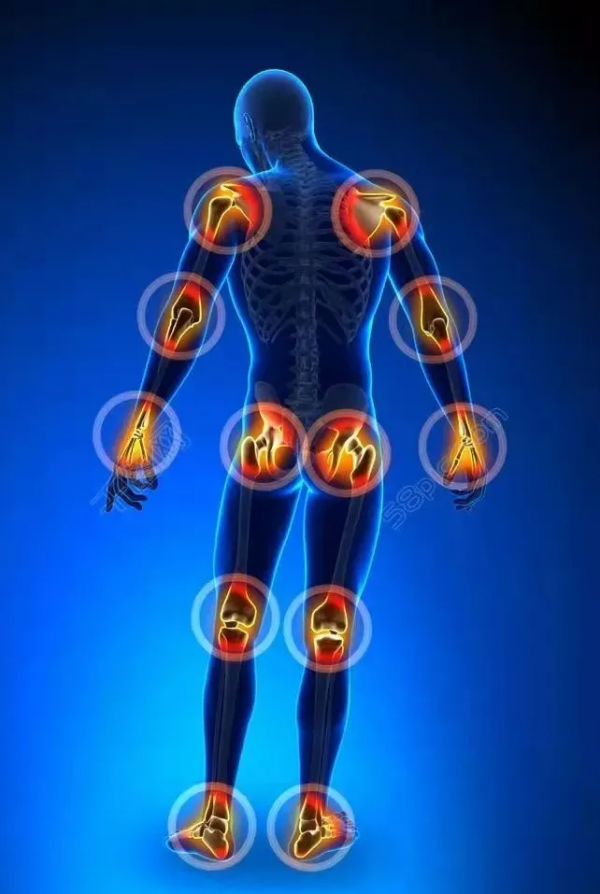 太極｜運動腰骶轉股肱