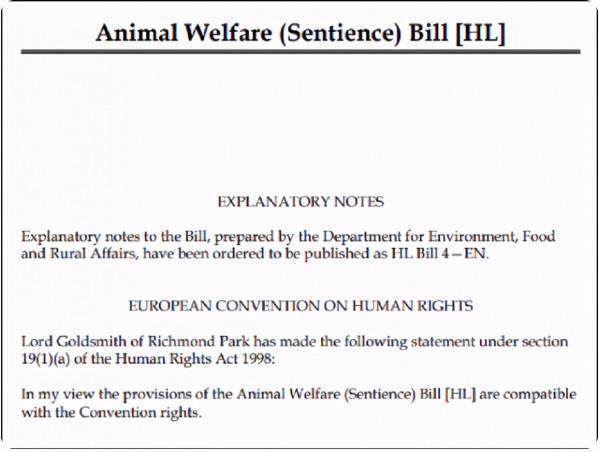 “小龍蝦會疼，活蒸太殘忍”以後做麻辣小龍蝦只能一隻只電死了