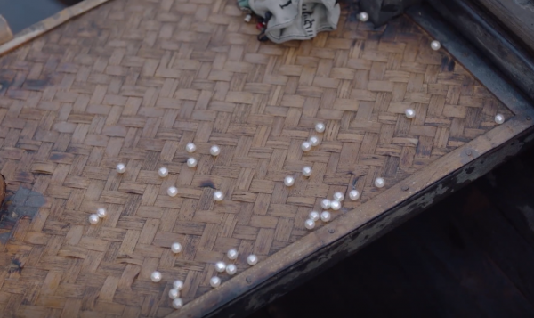 《斛珠夫人》中,鮫人成珠和珠民海市的真實原型並非神話傳說 《斛珠夫人》中,鮫人成珠和珠民海市的真實原型並非神話傳說