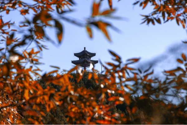 秋日靜美，斑斕如斯，北京號帶您“雲”賞深秋