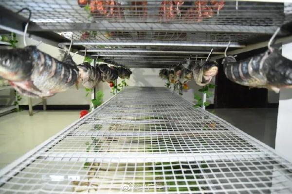 整整齊齊！兵哥哥專治各種“強迫症”