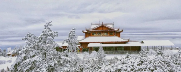 昨日大雪,來看峨眉山最真實的雪景 昨日大雪,來看峨眉山最真實的雪景
