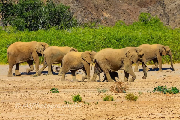 在這10處綠色住宿地,體驗原汁原味的大自然 在這10處綠色住宿地,體驗原汁原味的大自然