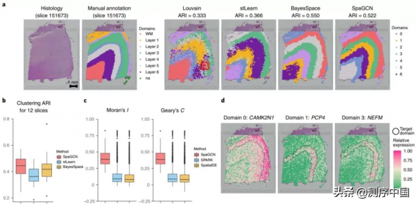 Nat Methods | 李明瑤團隊發表空間轉錄組資料分析的新演算法SpaGCN Nat Methods | 李明瑤團隊發表空間轉錄組資料分析的新演算法SpaGCN