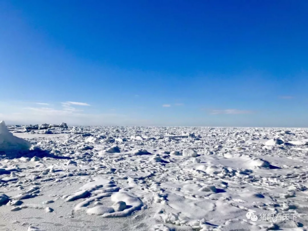 玩了一趟北海道，我家花了六位數