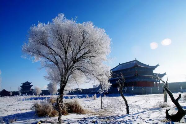 新疆霧凇,這才是完美冬天的開啟方式,真正的冰雪王國... 新疆霧凇,這才是完美冬天的開啟方式,真正的冰雪王國...