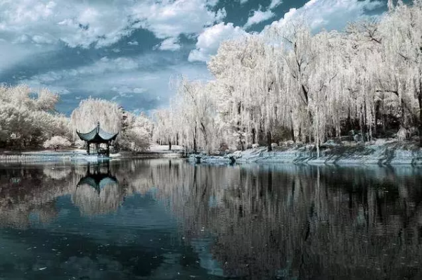 品,秋的味道 品,秋的味道