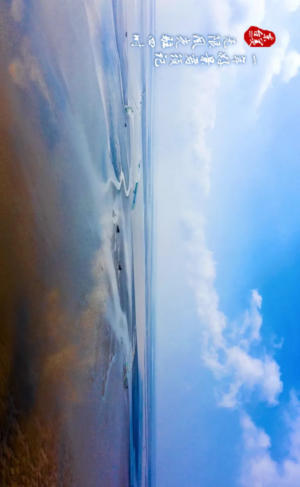 一起走過東臺最美的四季