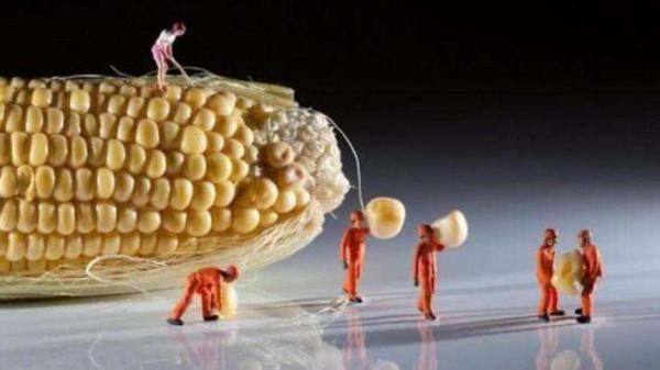 如果地球上除了人類，所有的生物擴大 100 倍體積，會發生什麼？