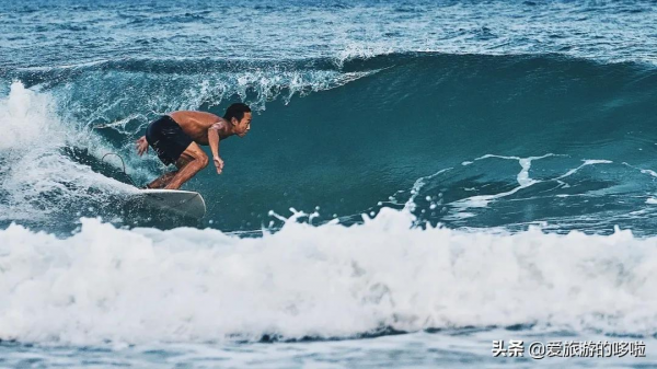 9分神片迴歸!中國人有多會吃海鮮?第一集就讓人邊流口水邊流淚 9分神片迴歸!中國人有多會吃海鮮?第一集就讓人邊流口水邊流淚