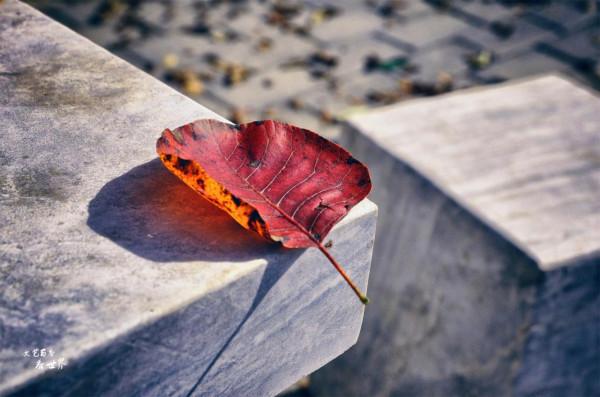 北京有一條“野香山”徒步線路，不僅有絕美紅葉，還藏著香山水庫