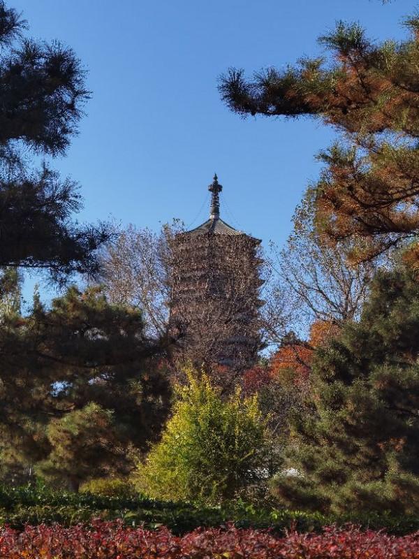 秋日不可辜負,北京園博園的碧雲天黃葉地 秋日不可辜負,北京園博園的碧雲天黃葉地