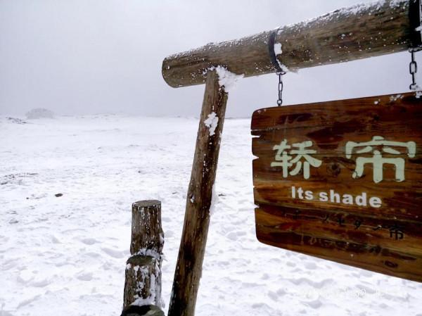 2022年自駕遊計劃 2022年自駕遊計劃