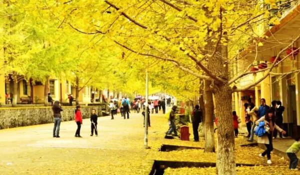 廣東絕美的秋色,都藏在了這4個小眾景點裡 廣東絕美的秋色,都藏在了這4個小眾景點裡