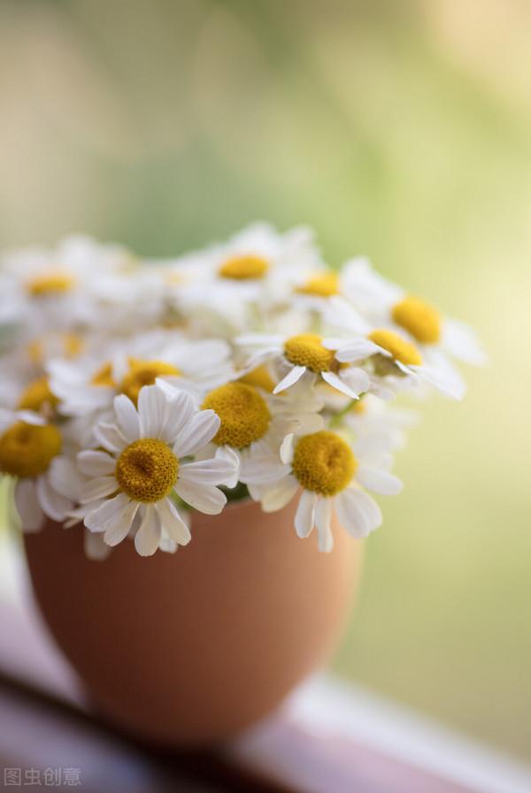 美好的整理時光