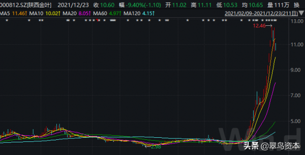 妖股陝西金葉的暴漲和大股東的槓桿