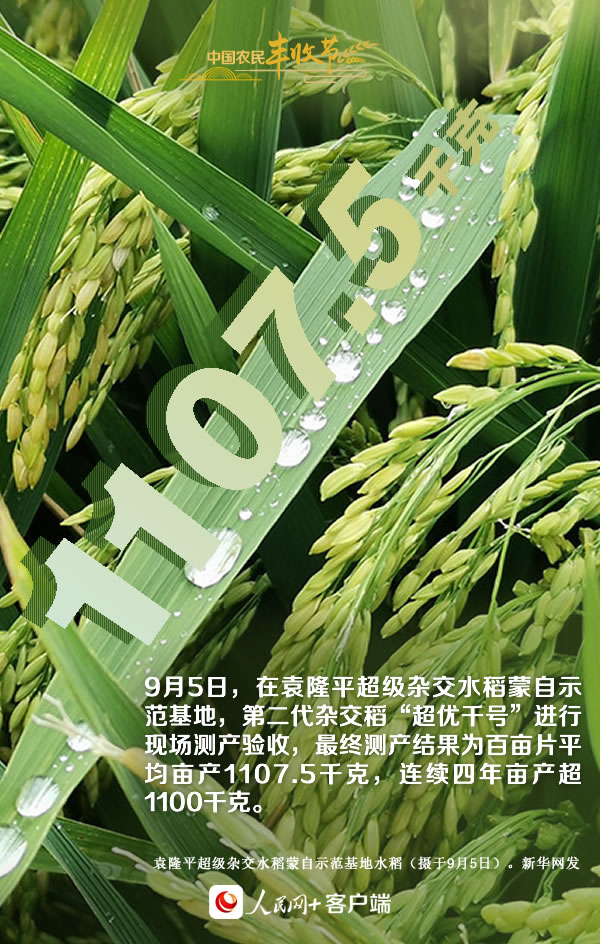 “豐”景如畫慶佳節