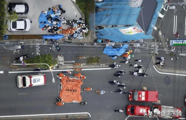 84歲母親絕望勒死59歲兒子，日本啃老問題愈發嚴重