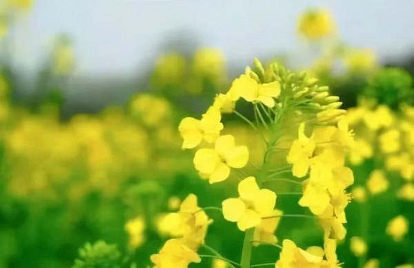 人到中年,我有點怕!(心酸) 人到中年,我有點怕!(心酸)