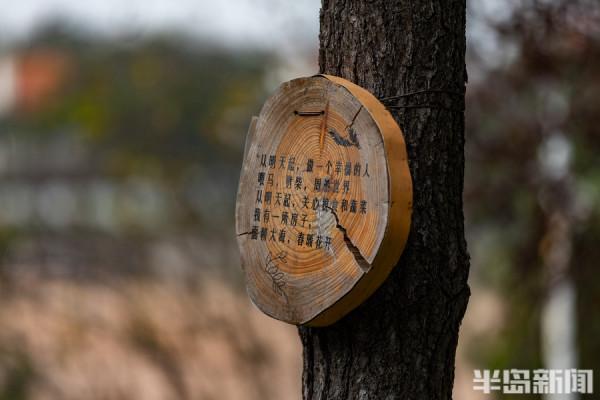 樹上“細語” 樹上“細語”