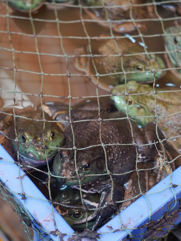 1小時飛攏的城市,有全國最好逛的市場 1小時飛攏的城市,有全國最好逛的市場