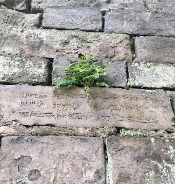 滅國狂潮:楚國從楚武王到楚成王120年的瘋狂擴張 滅國狂潮:楚國從楚武王到楚成王120年的瘋狂擴張