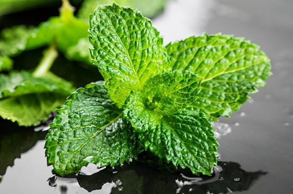 100種常見花卉的播種栽培大全,送給愛養花的你 100種常見花卉的播種栽培大全,送給愛養花的你