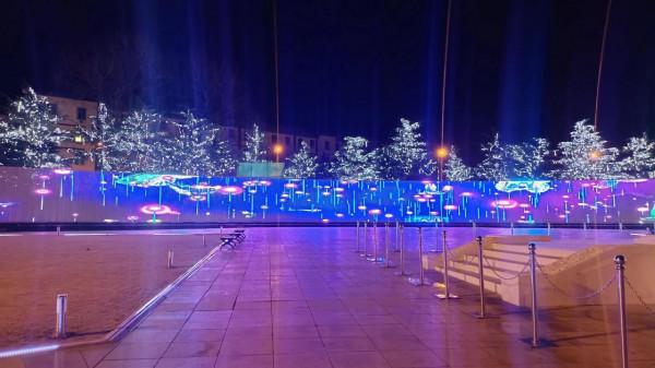 大美之城夜闌珊