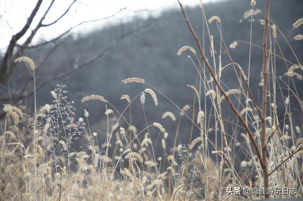 北京徒步登山：尋跡山間冰溪、冰瀑自然美景，門頭溝西胡林自駕遊