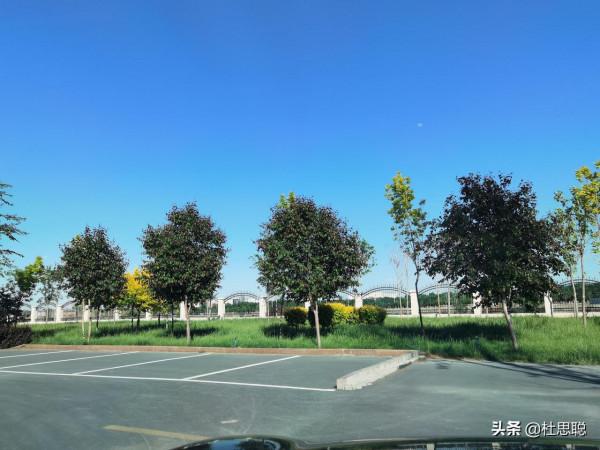 漢EV自駕新疆，第一次使用自動泊車，第一次自制烤串真香啊