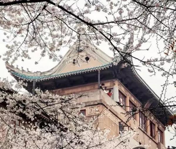 中國最美的30個地方，讓你遇見最美的春天