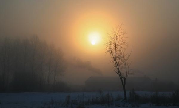 中介“熬”戰最冷冬天