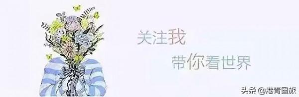 專家齊發聲，紀檢委保駕，國內遊即將火爆迴歸