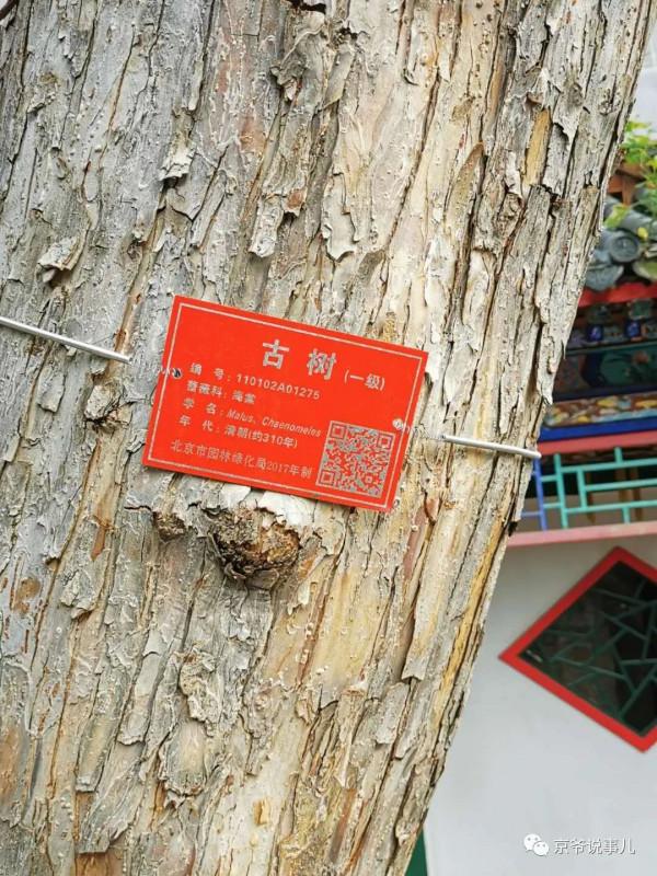 沒想到,風流才子紀曉嵐住的竟是岳飛後人的二手房 沒想到,風流才子紀曉嵐住的竟是岳飛後人的二手房