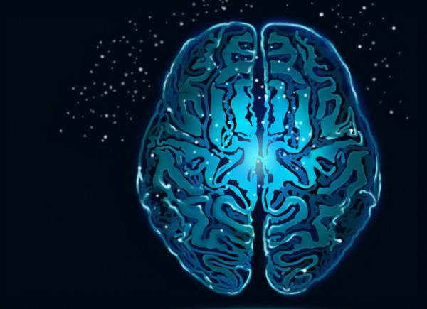 大腦“喜歡”這幾種食物，核桃不在其中，建議過50歲後常吃