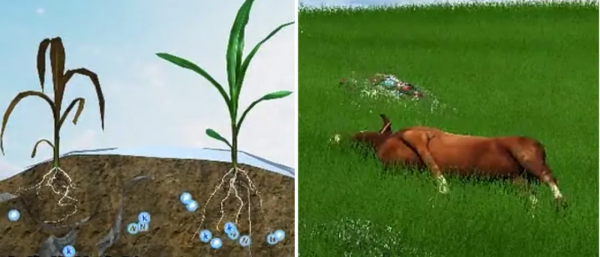 科普動畫 &vert; 什麼是&OpenCurlyDoubleQuote;白色汙染&rdquo;？對空氣有何危害？