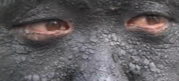 韓國兄妹街頭流浪10年，哥哥每天堅持鞋油塗臉，只因無私的親情