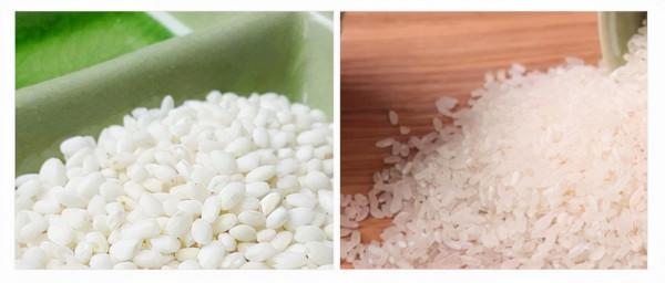 糯米與大米有啥不一樣？為什麼大米能成為主食，糯米卻不行？