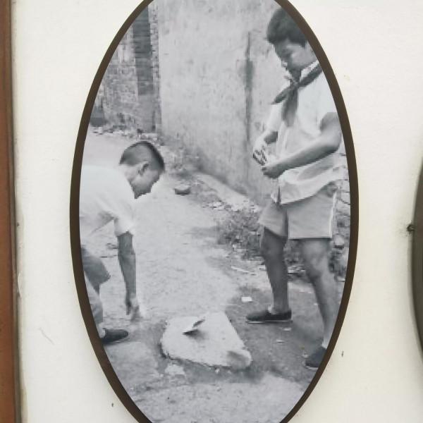 中國淡水魚都――菱湖