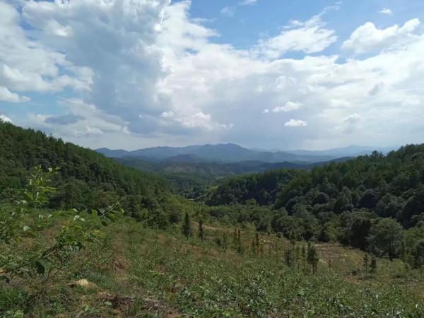 山野鄉間遊蕩（之五）仙水巖記（1）走錯路了