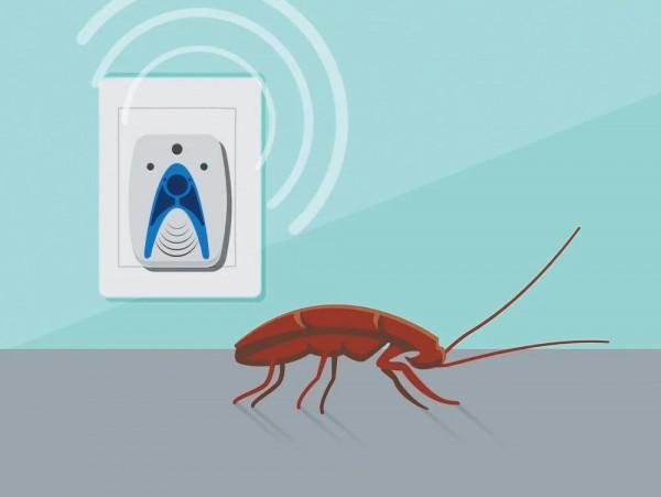 無線電波干擾了蟑螂