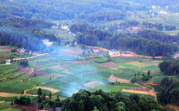 農村真的不能用柴火做飯？別逗了，壓根就不存在
